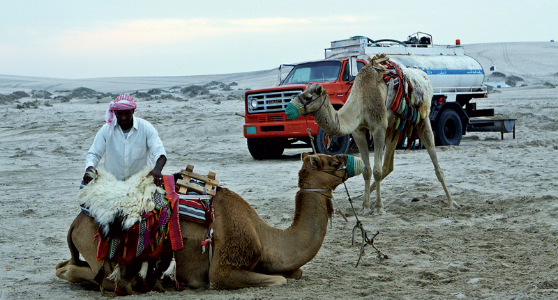Dịch vụ cưỡi lạc đà ở đây luôn sẵn sàng phục vụ những lữ khách đam mê khám phá vẻ đẹp sa mạc 