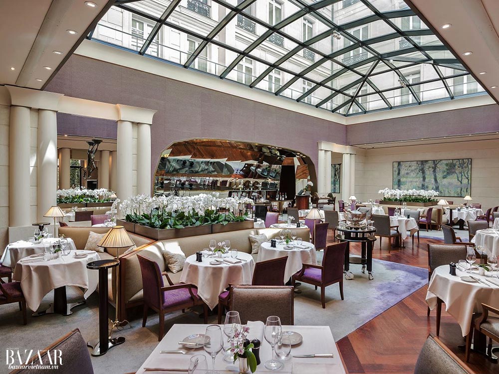 Thiết kế nội thất đương đại của Park Hyatt Paris-Vendôme không làm cho khách sạn kém xa hoa hay ấm cúng so với những khách sạn 5-sao khác