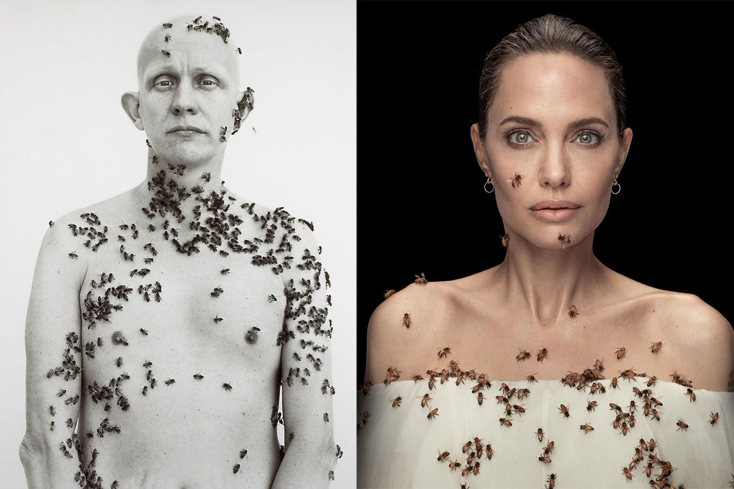 Angelina Jolie để ong bò khắp người nhằm kêu gọi bảo vệ môi trường