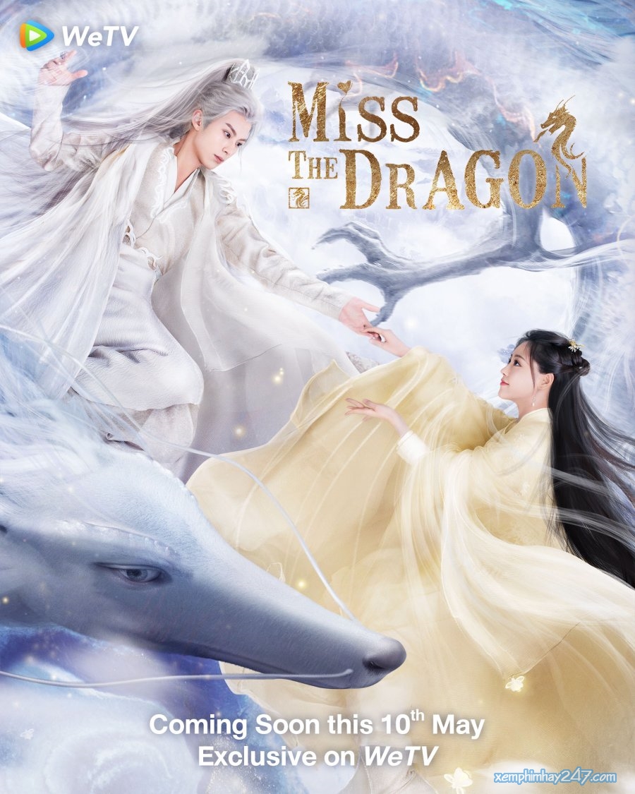 Vương Hạc Đệ phim: Ngộ long - Miss the Dragon (2021)