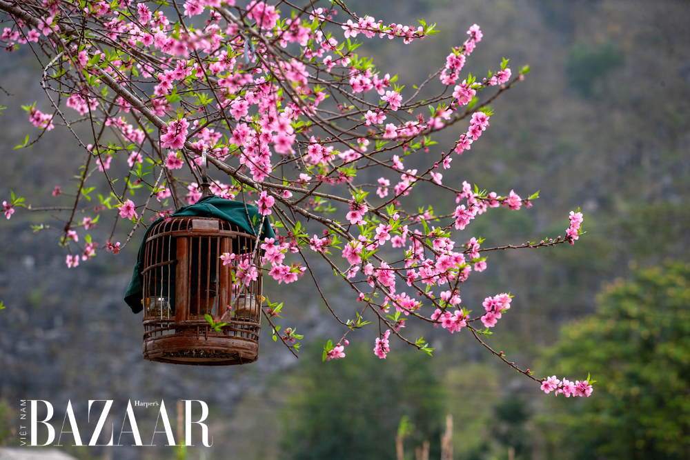 Du lịch Hà Giang mùa nào đẹp theo từng tháng?