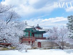 Du lịch Hàn Quốc mùa nào đẹp? Khám phá xứ sở kim chi