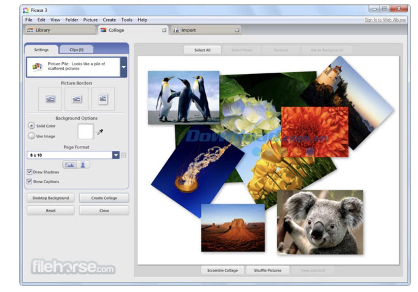 Phần mềm chỉnh ảnh trên máy tính Picasa